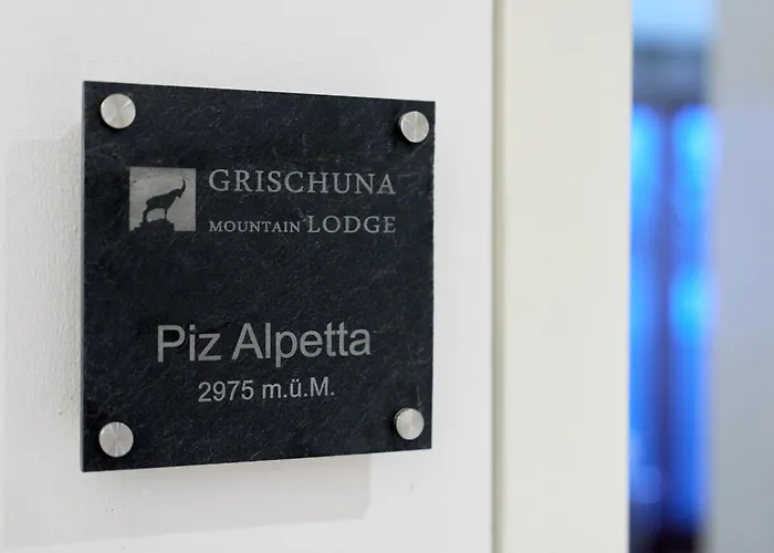 Grischuna Mountain بيت خشبي سامنون